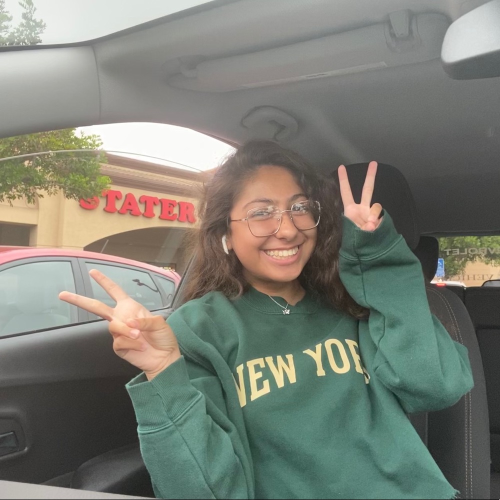 New York Sweatshirt